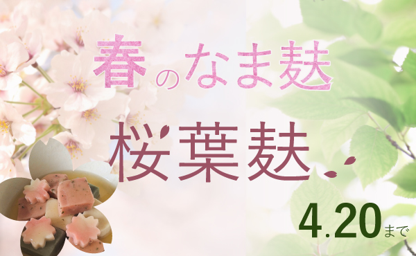 <span>程よい塩味と豊かな風味</span>春季限定の人気のなま麸です！