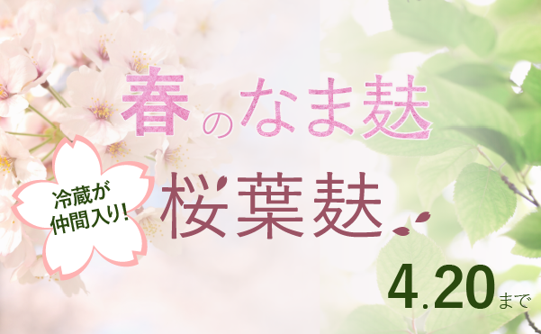 <span>【春限定】冷蔵タイプが新登場</span>桜風味の春のなま麸です