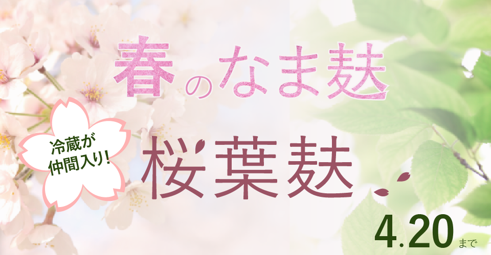 春のなま麸桜葉麸